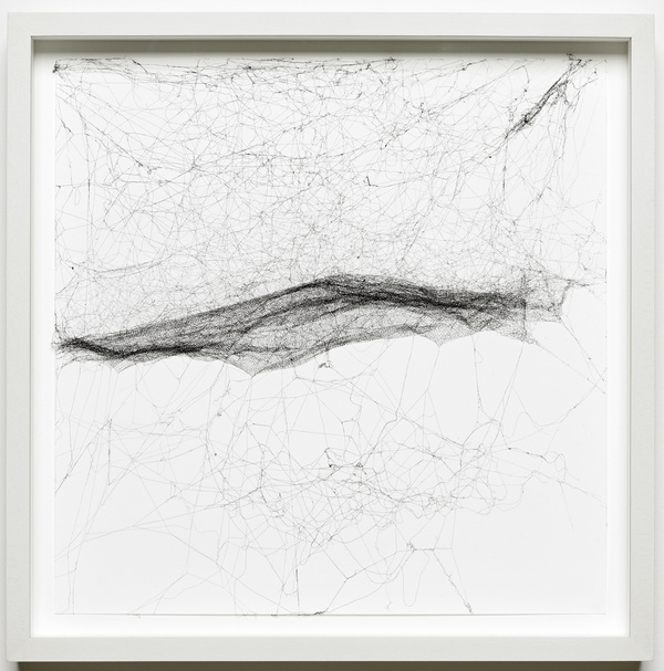 Tomás Saraceno, Semi-Social Mapping Of Elara 258.64 By A Solo Cyrtophora Citricola – Six Weeks, 2016