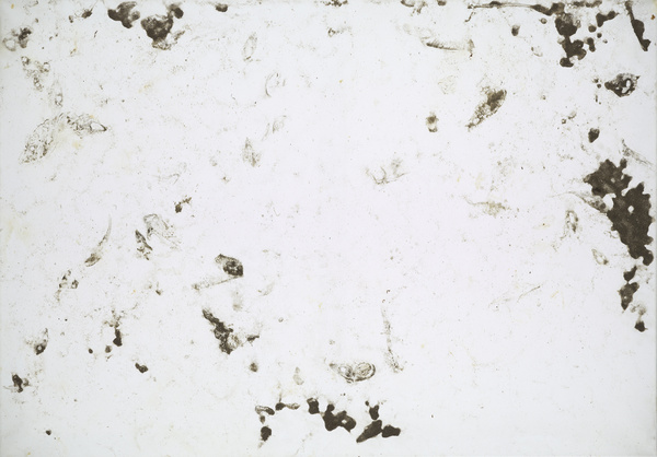 Karin Sander, Gebrauchsbild 161, Sturm und Gewitter, Berlin, 2013