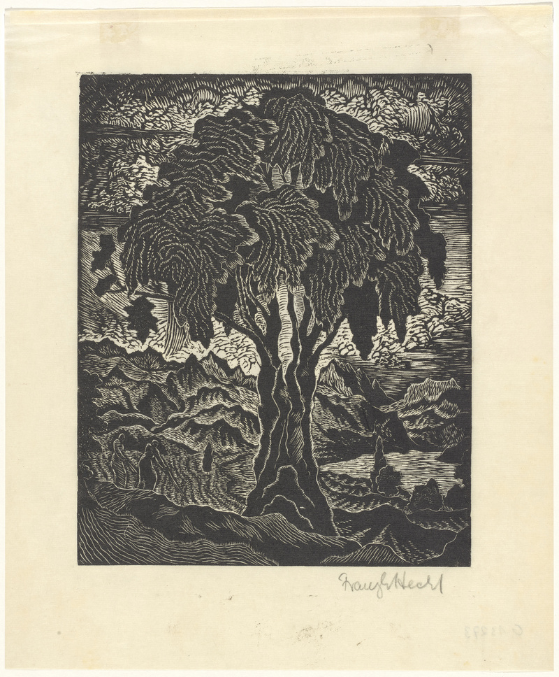 Franz E. Hecht, Baumstudie