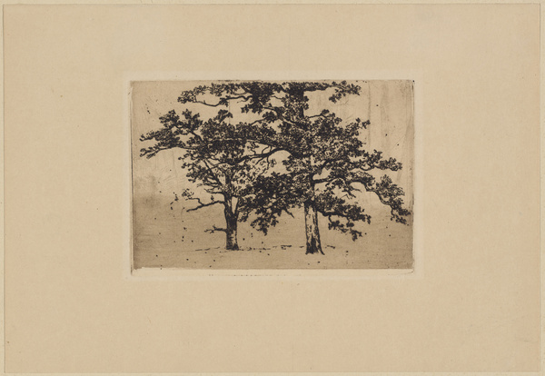 Sion Longley Wenban, Zwei Eichen