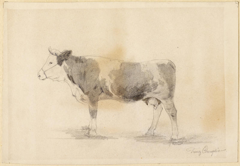 Franz Quaglio, Kuh, Seitenansicht