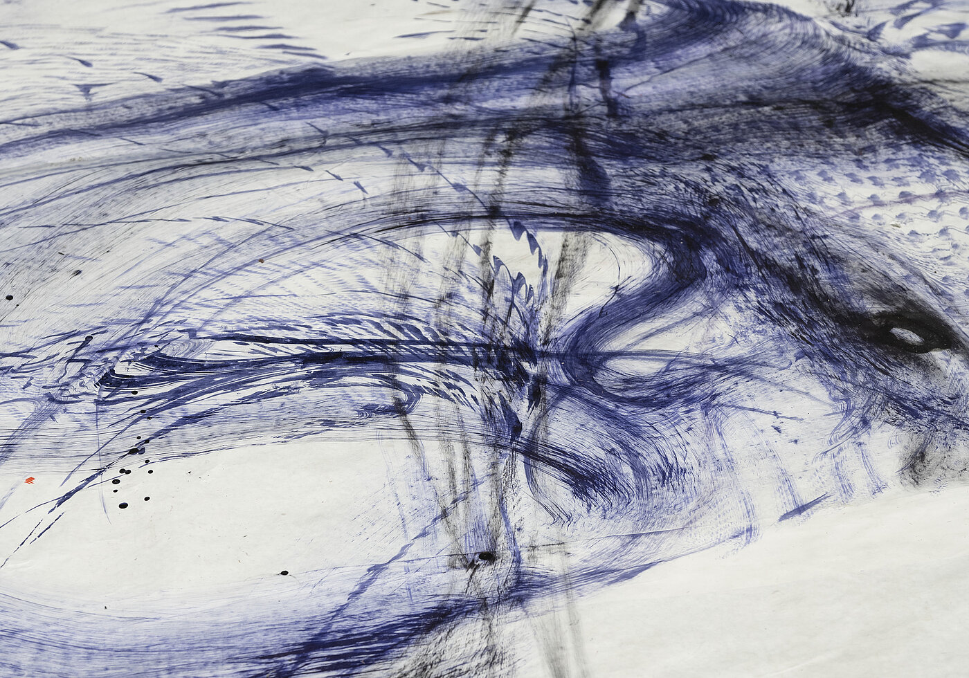 no: [GROUND] von Maria VMier 2024, Tusche auf Papier, (Detail); Foto: Estefanía Landesmann