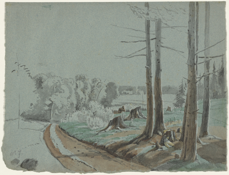 Wilhelm von Kobell, Waldblösse