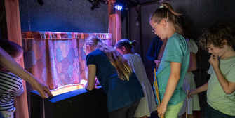 Aus dem Rahmen gefallen <br/>… und auf der Bühne gelandet!