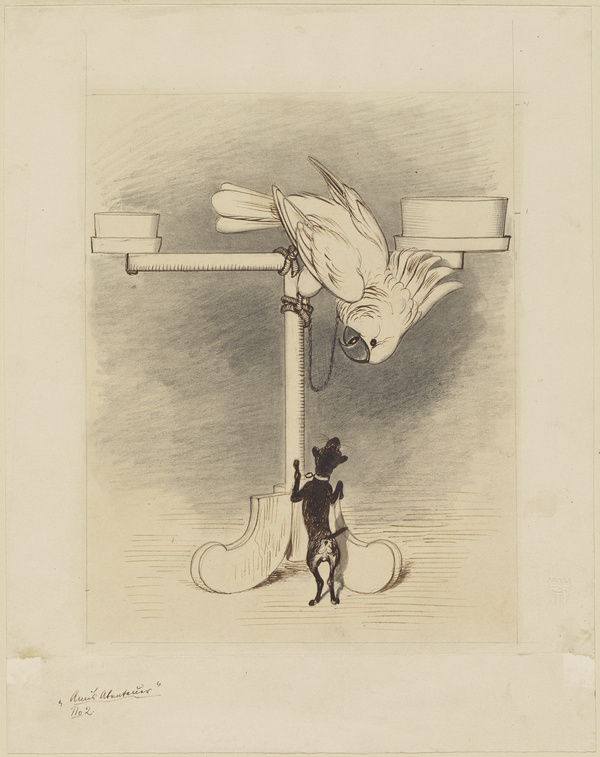 Adolf Oberländer, Ami und der Kakadu