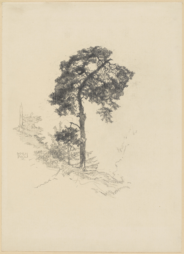 Peter von Halm, Baumskizze, 1903