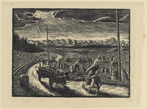 Willi Döhler, Kartoffelernte