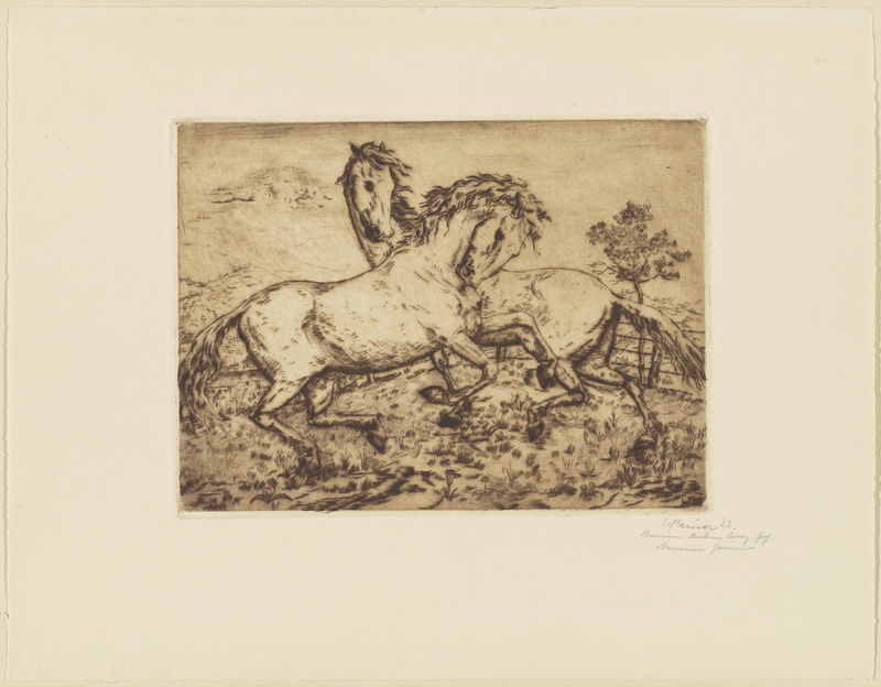 Werner Peiner, Pferde