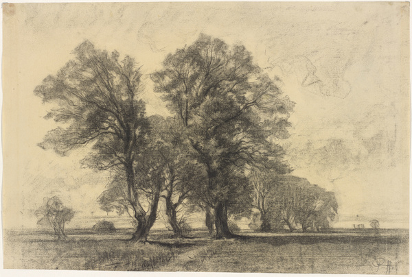 Peter von Halm, Bäume