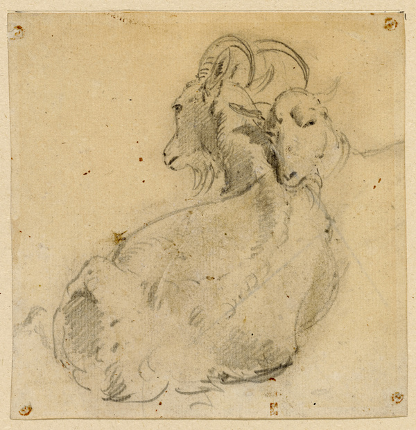 Fritz van der Venne, Ziege mit Jungen