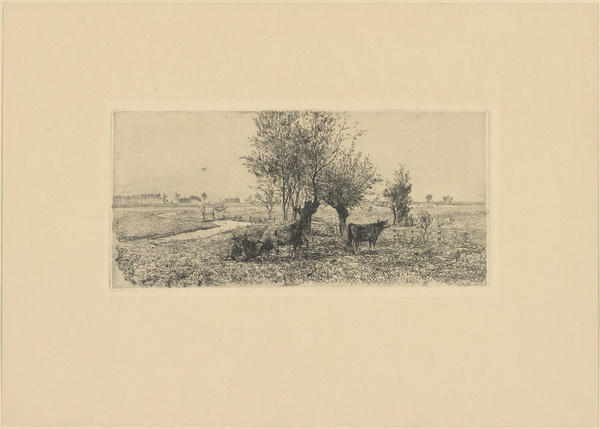 Sion Longley Wenban, Kühe, im Schatten von Weiden grasend