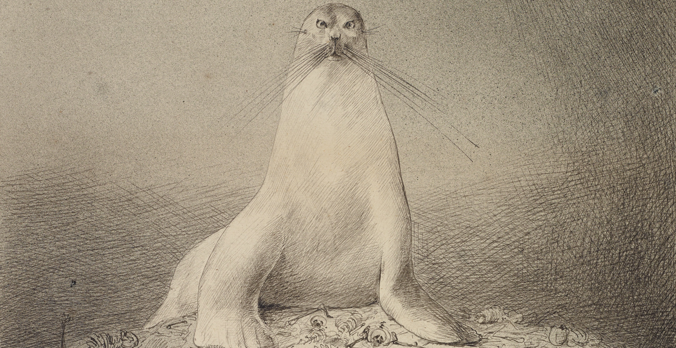 Alfred Kubin, Macht, um 1903