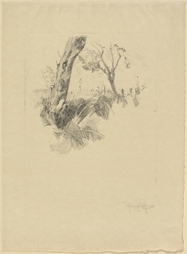 Heinrich Wolff, Baumstudie