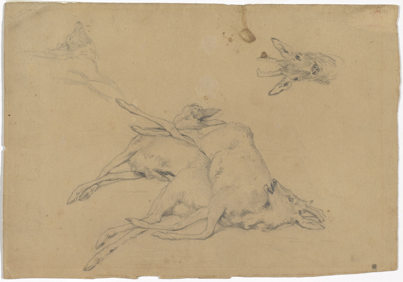 Otto Gebler, Erlegte Rehe