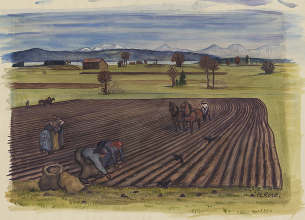 Heinz Rose, Kartoffelacker