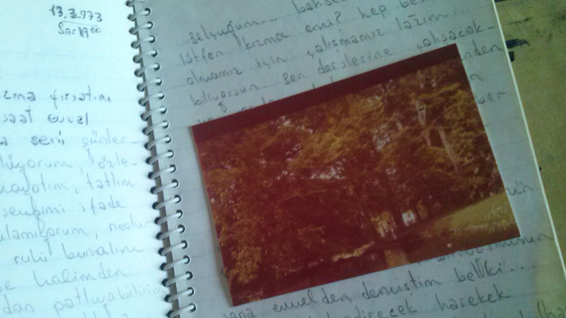 Cana Bilir-Meier, Semra Ertan, 2013