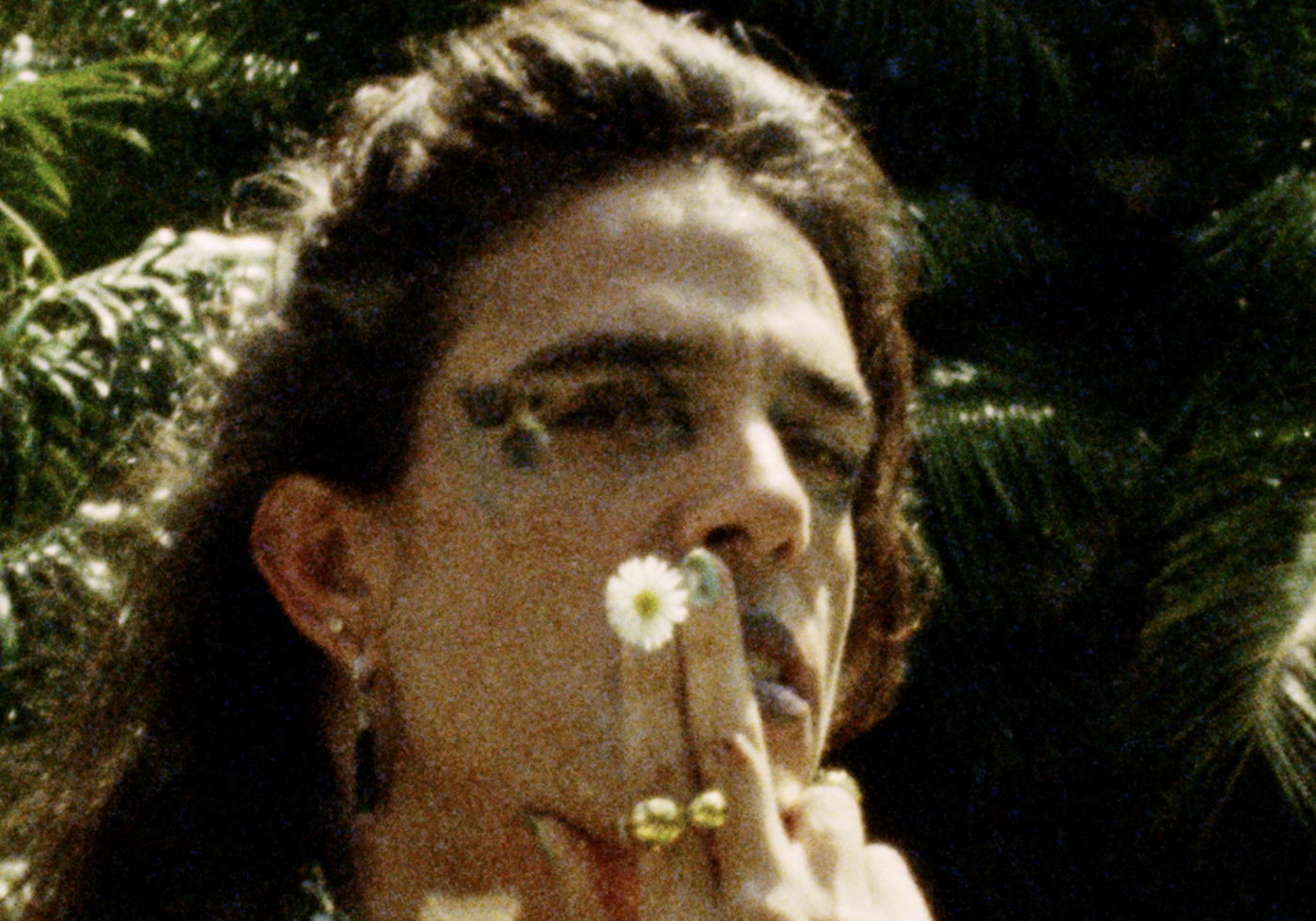 Filmstill Rezbotanik, Pedro Gonçalves Ribeiro, Brazil/Portugal/Spain, 2025 
