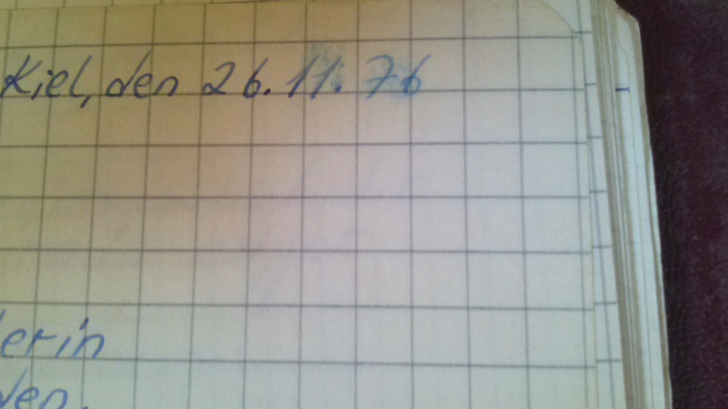 Cana Bilir-Meier, Semra Ertan, 2013