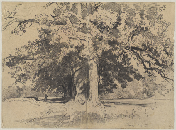 Josef Wenglein, Hohe Bäume bei Böding, 1878