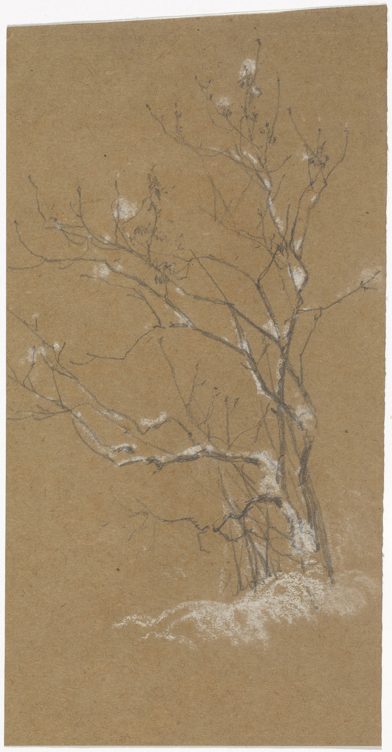 Otto Gebler, Verschneiter Strauch