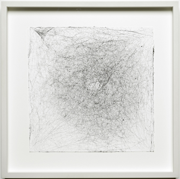 Tomás Saraceno, Semi-Social Solitary Mapping Of SPT 0243-49 By A Duo Of Cyrtophora Citricola – Two Weeks, 
A Solo Parasteatoda Lunata – One Week And A Solo Tegenaria Domestica – Three Weeks
, 2015