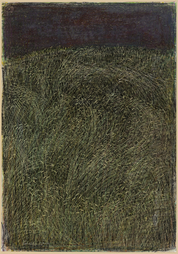 Emil Scheibe, Kornfeld, 1958