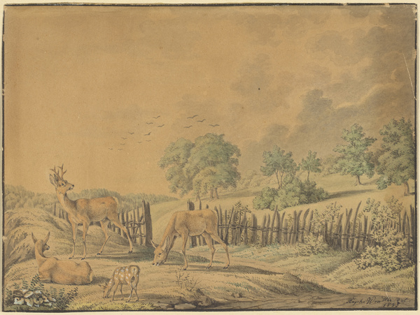 Raphael Wintter, Grasende Rehe, 1835