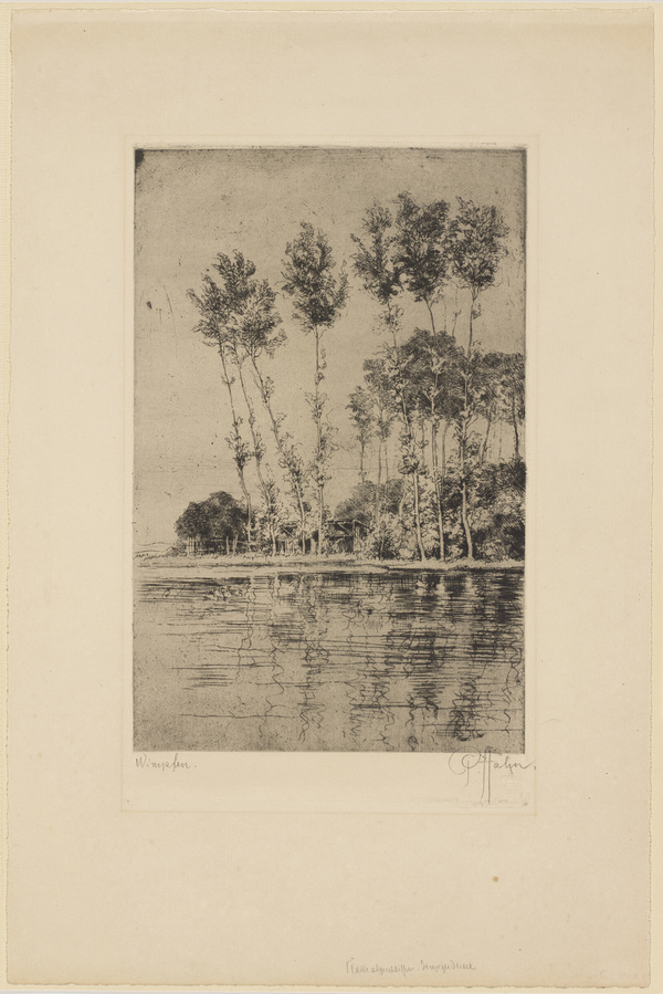 Peter von Halm, Wimpfen