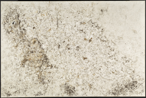 Karin Sander, Gebrauchsbild 168, Einen Winter im Garten, Berlin, 2013/2014