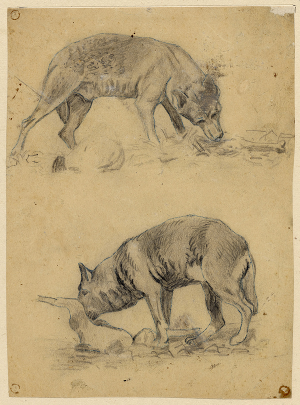 Fritz van der Venne, Zwei Studien zu einem Hund seine Beute fressend