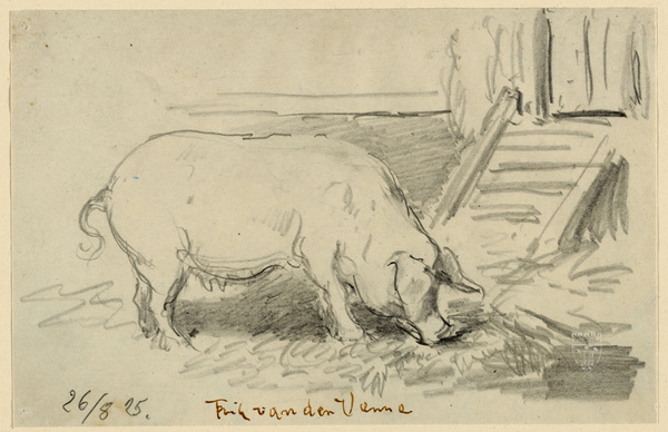 Fritz van der Venne, Schwein, 1925