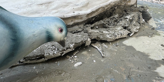 offener Workshop mit Raumfragen