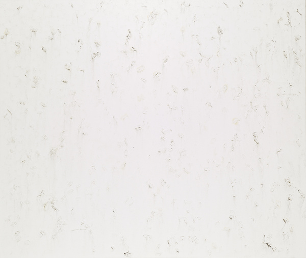 Karin Sander, Gebrauchsbild 121, 48 Stunden im Regen, Berlin, 2009