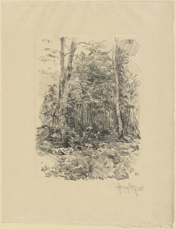 Heinrich Wolff, Haffwald, 1906