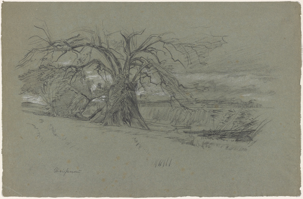 Peter von Halm, Reichenau Bodensee