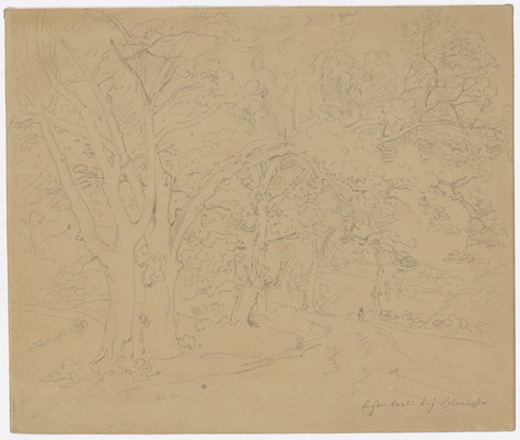 Carl Wilhelm Freiherr von Heideck, Eichenwald bey Colombella