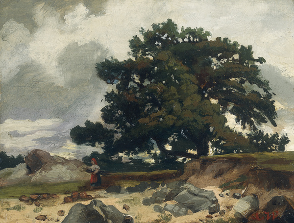 Ludwig Willroider, Eichbaum gegen Wolkenhimmel, um 1869