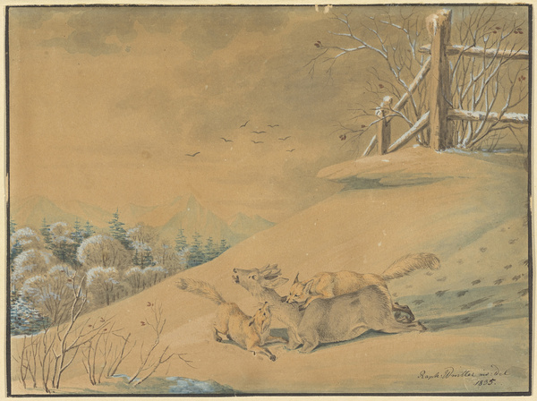 Raphael Wintter, Zwei Füchse überfallen einen Rehbock, 1835