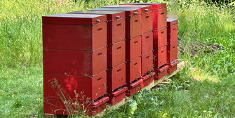 Lenbachhaus meets Akademie