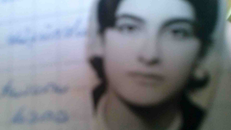 Cana Bilir-Meier, Semra Ertan, 2013