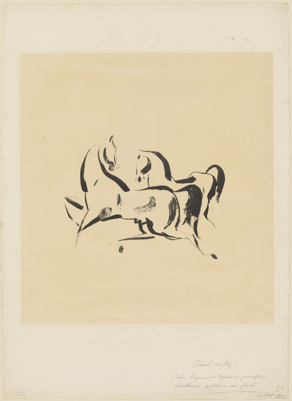 Edwin Scharff, Pferde