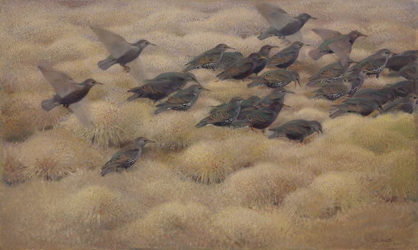 Jean Bloé Niestlé, Ziehende Stare, 1910