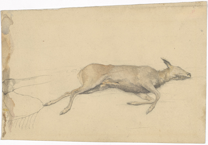 Otto Gebler, Erlegte Rehe