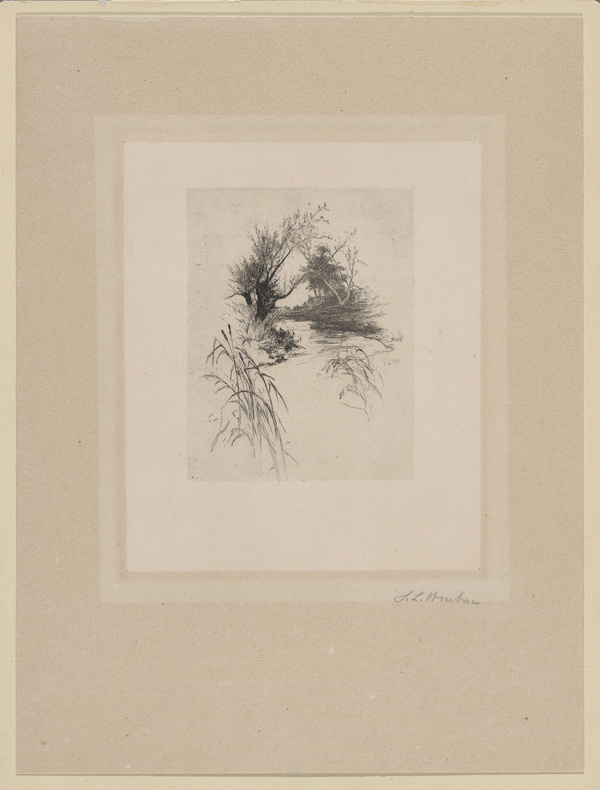 Sion Longley Wenban, Weiden und Schilf am Bach