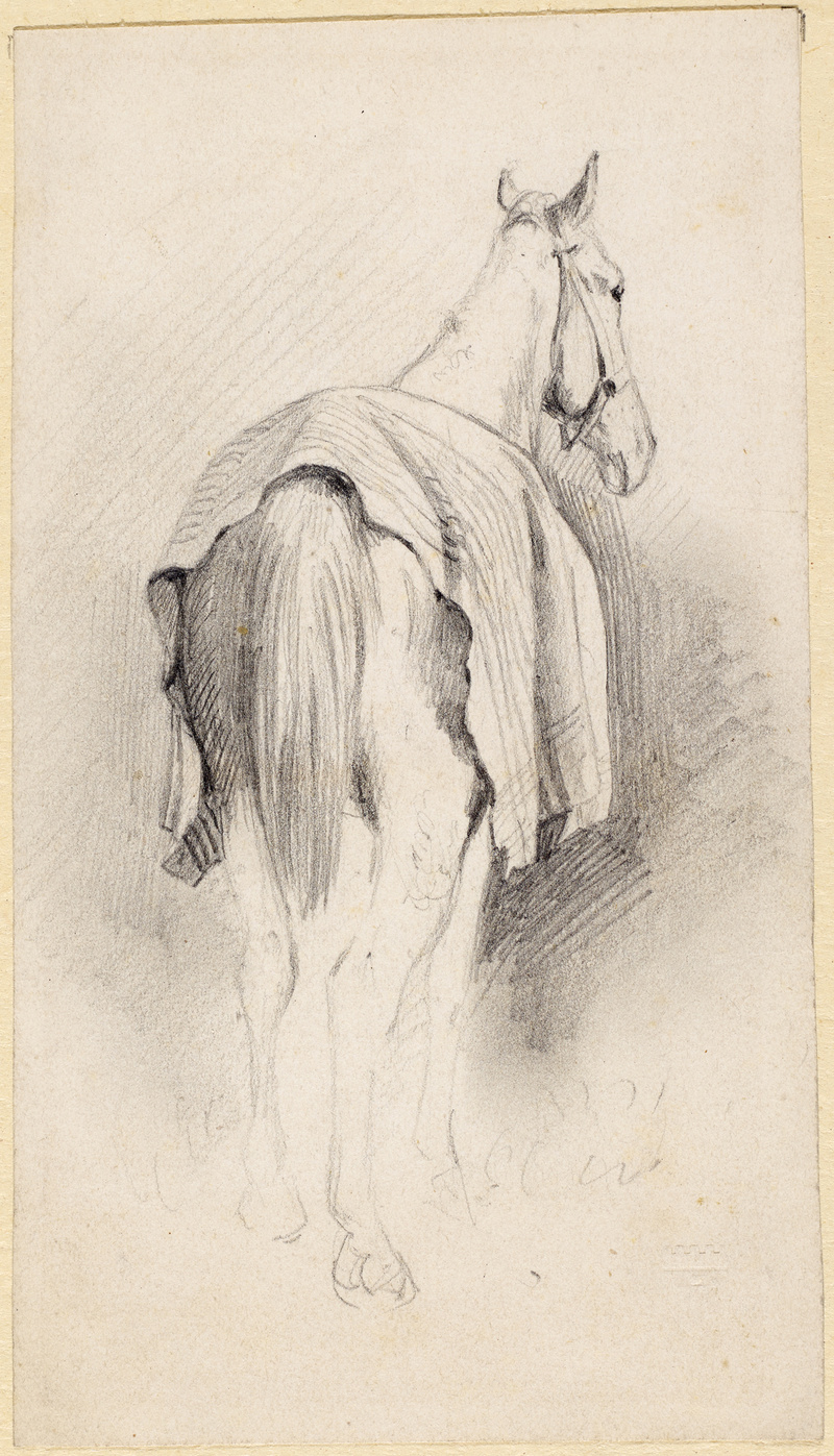 Franz Quaglio, Pferd mit Decke auf dem Rücken - von hinten