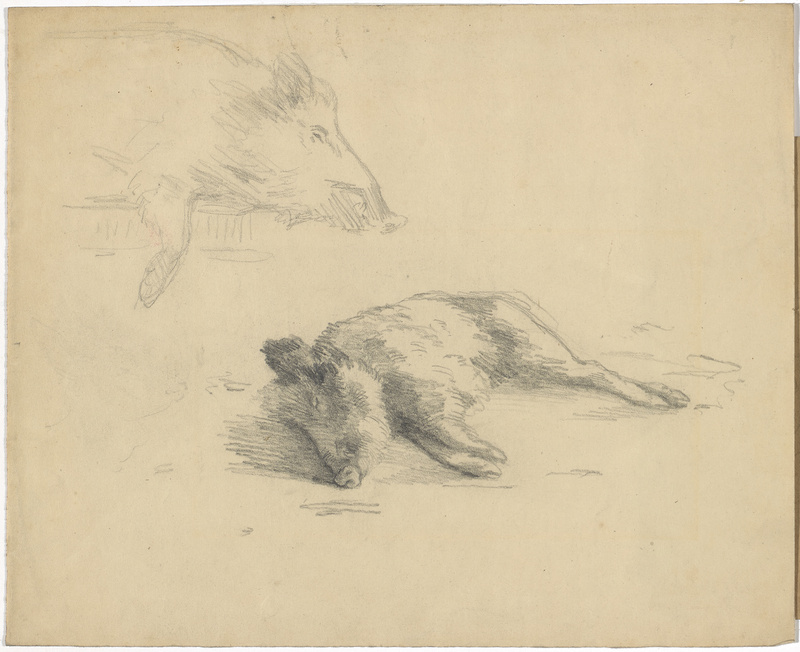 Otto Gebler, Erlegtes Wildschwein