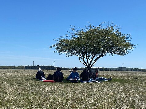 Workshop, What grows – walk thoughts, Buntes Garten Ciao, Lenbachhaus Munich, 2026.